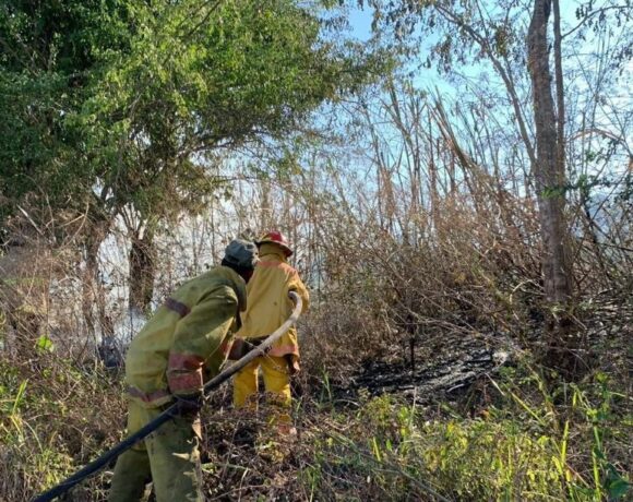 Foto 2. Medio Ambiente logró disminuir el siniestro porque se trazaron líneas de cortafuego para eliminar el combustible existente