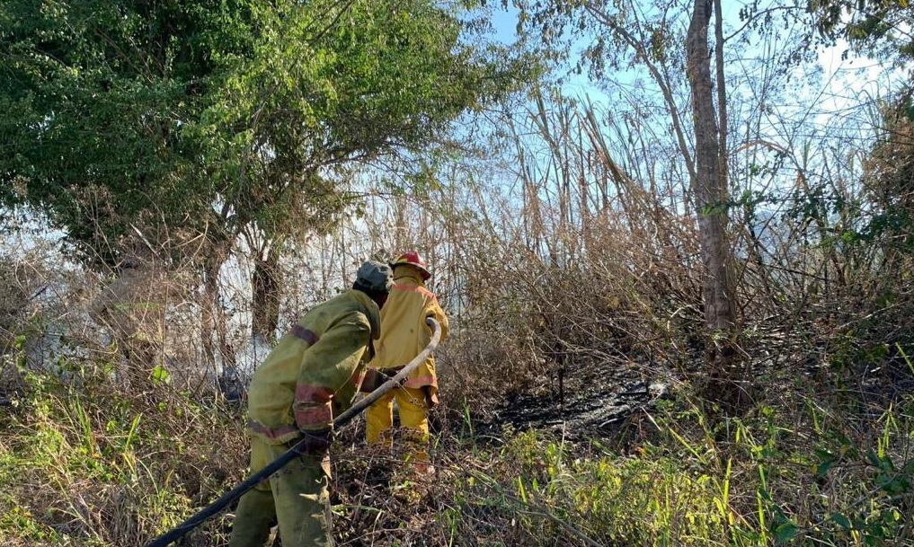 Foto 2. Medio Ambiente logró disminuir el siniestro porque se trazaron líneas de cortafuego para eliminar el combustible existente