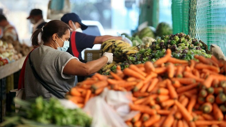 alimentos